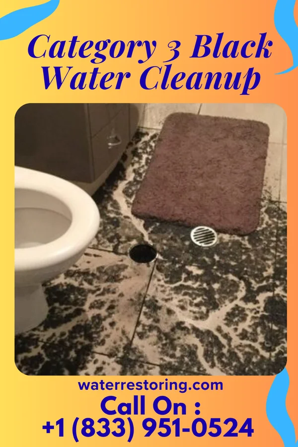 Category 3 Black Water Cleanup in Greenville, IL