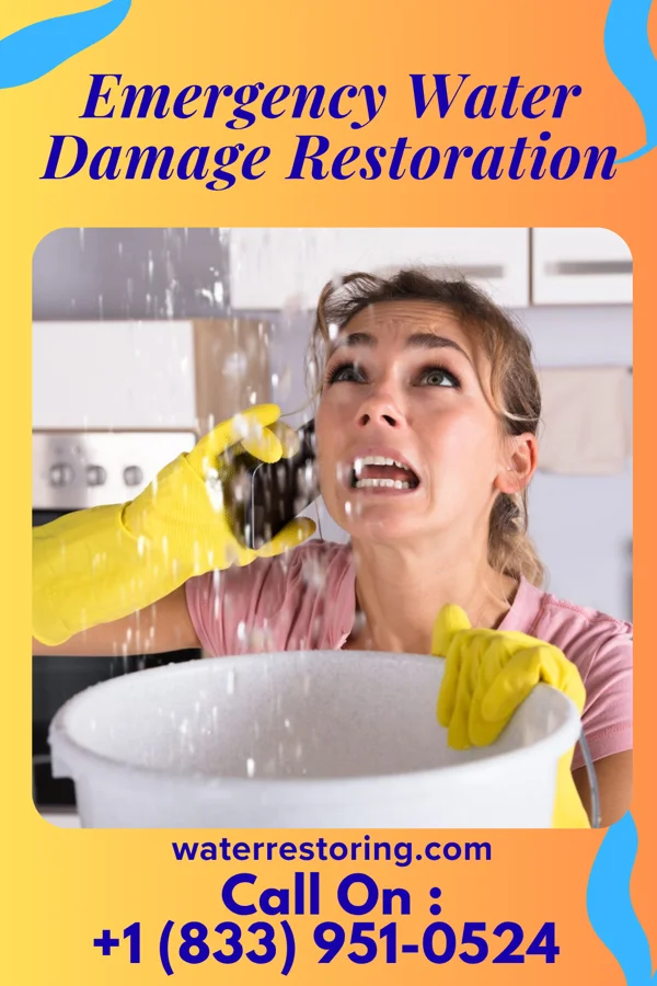 Emergency Water Damage Restoration in Greenville, IL