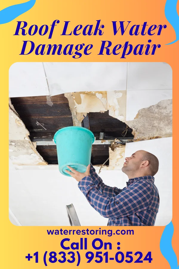 Roof Leak Water Damage Repair in Greenville, IL